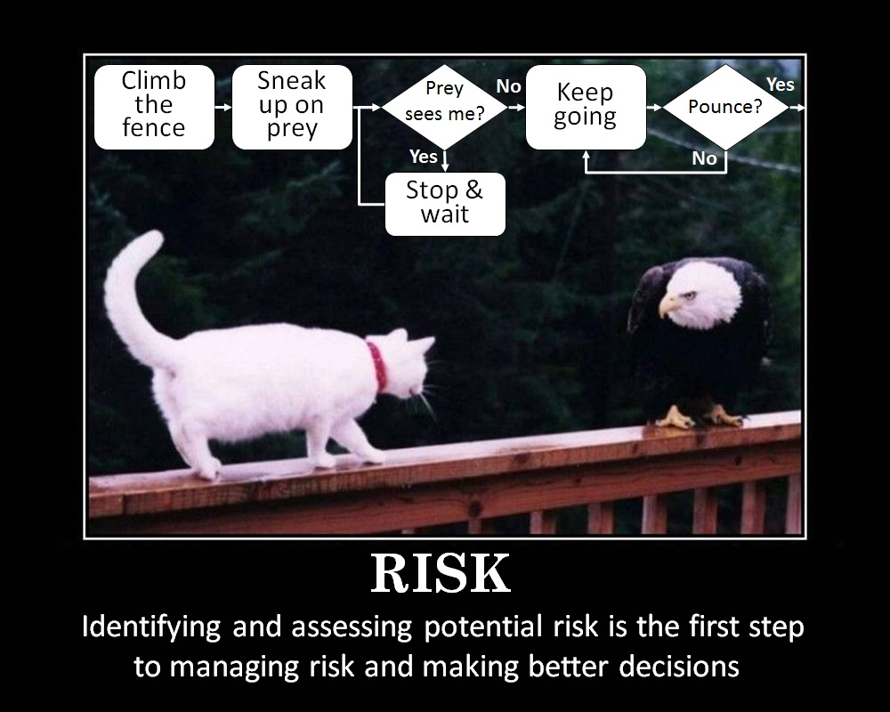 review of risk assessment methodology
