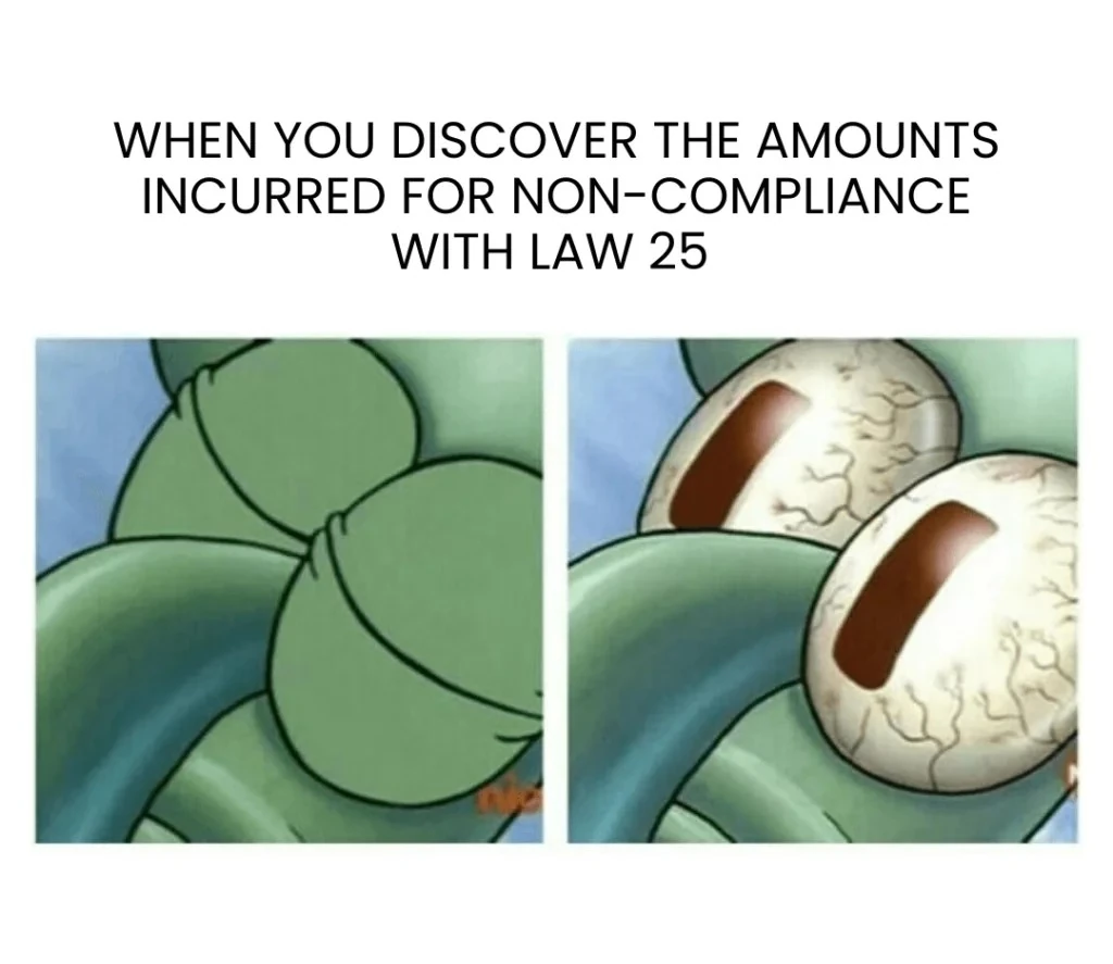 quebec law 25 scytale