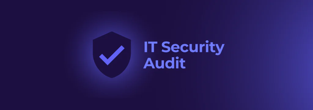 IT Security Audit