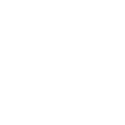 PCI DSS